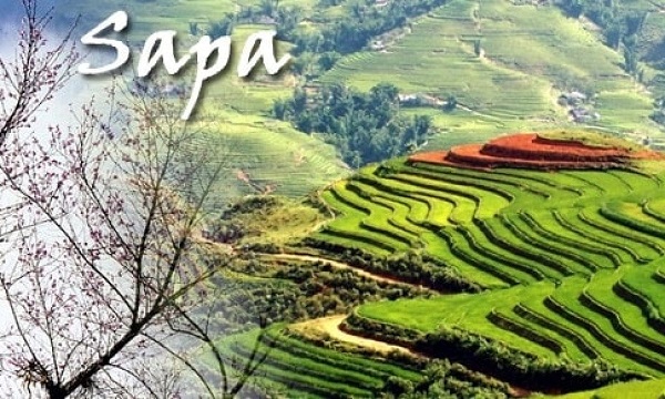 Bạn có biết nên đi Sapa mùa nào đẹp nhất?