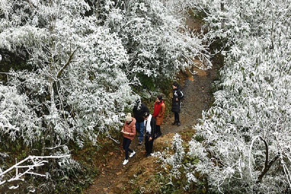 du-lich-sapa-thang-12-co-gi